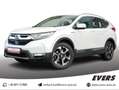 Honda CR-V Hybrid 2.0 i-MMD EXECUTIVE 4WD PANO+LEDER Blanc - thumbnail 1