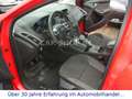 Ford Focus Turnier Trend   -XENON/NAVI/SHZ/PDC/TOP- Rot - thumbnail 10