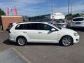 Volkswagen Golf VII Variant TGI DSG KAMER TEMP SHZ GARANTIE Blanc - thumbnail 4