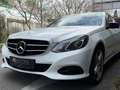 Mercedes-Benz E 250 //KREDIT//LEDER//FACELIFT//AUTOMATIK// Weiß - thumbnail 8