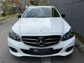 Mercedes-Benz E 250 //KREDIT//LEDER//FACELIFT//AUTOMATIK// Weiß - thumbnail 5