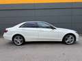 Mercedes-Benz E 250 //KREDIT//LEDER//FACELIFT//AUTOMATIK// Weiß - thumbnail 41