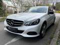 Mercedes-Benz E 250 //KREDIT//LEDER//FACELIFT//AUTOMATIK// Weiß - thumbnail 7