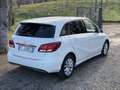 Mercedes-Benz B 180 d (cdi) Sport auto - thumbnail 3