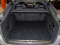 Audi A5 50 TDI qu Competition Edition Plus Grau - thumbnail 7
