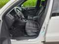 Volkswagen Tiguan Lounge Sport & Style BMT Weiß - thumbnail 6