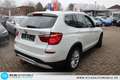BMW X3 xDrive 20 i Leder(Braun)=NAVI=XENON=KAMERA=AH Weiß - thumbnail 23