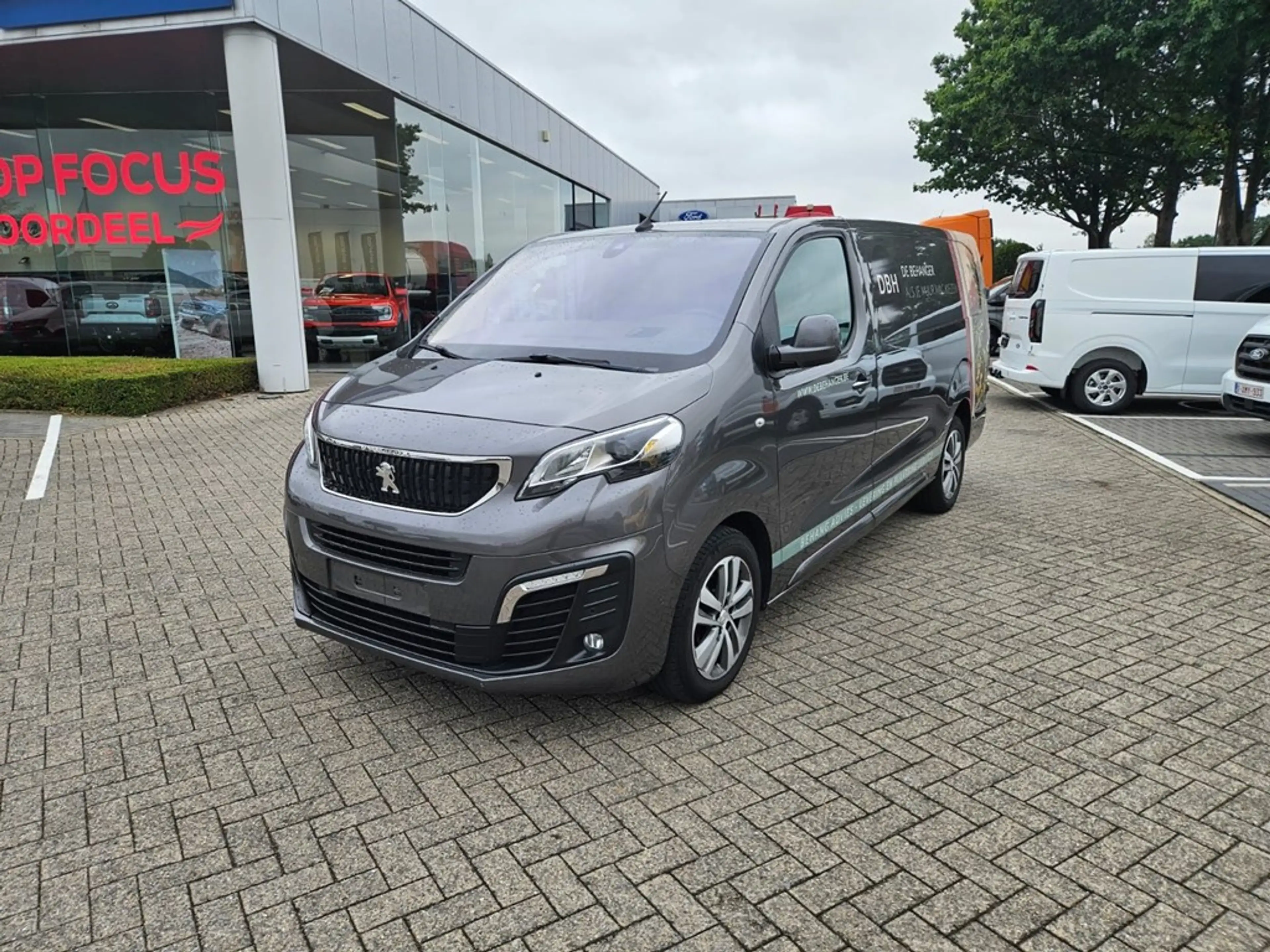 Peugeot Expert Enkel voor professionele verkoop. — photo 2