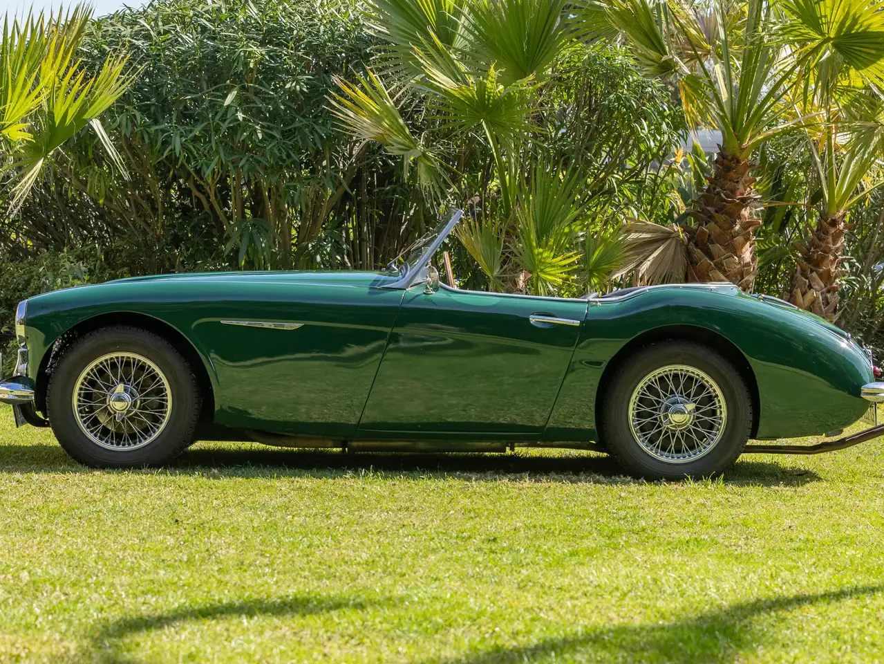 Austin-Healey 3000 BT7, foto 6