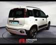 Fiat Panda 1.0 FireFly S&S Hybrid Bianco - thumbnail 5
