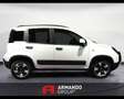 Fiat Panda 1.0 FireFly S&S Hybrid Bianco - thumbnail 4