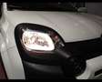 Fiat Panda 1.0 FireFly S&S Hybrid Bianco - thumbnail 23