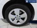 Skoda Fabia 1.0 TSI 110 ch Greentec DSG7 Style Weiß - thumbnail 22