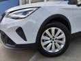 SEAT Arona 1.0 TSI S&S Style XM 110 Blanc - thumbnail 5