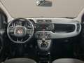 Fiat Panda 1.2 Easy Piros - thumbnail 13