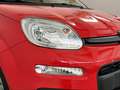 Fiat Panda 1.2 Easy Piros - thumbnail 26
