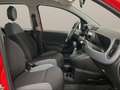 Fiat Panda 1.2 Easy Piros - thumbnail 11