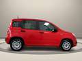 Fiat Panda 1.2 Easy Piros - thumbnail 4