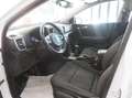 Kia Sportage Sportage IV 2016 1.7 crdi Cool 2wd 115cv Wit - thumbnail 7