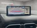 Mazda CX-5 SPORTS-LINE ++Nappa-Leder+Sitzbelüftung++ Grijs - thumbnail 15