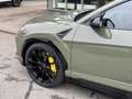 Lamborghini Urus URUS SE Grün - thumbnail 10