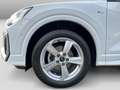 Audi Q2 30 TFSI S line Virtual Cockpit LED Einparkh Weiß - thumbnail 5