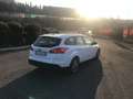 Ford Focus SW 1.5 tdci Business s&s 120cv Bianco - thumbnail 2