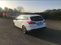 Ford Focus SW 1.5 tdci Business s&s 120cv Bianco - thumbnail 4