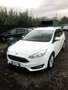 Ford Focus SW 1.5 tdci Business s&s 120cv Bianco - thumbnail 8