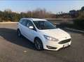 Ford Focus SW 1.5 tdci Business s&s 120cv Bianco - thumbnail 7