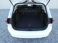 Ford Focus Traveller Titanium Autom. +AHK+Fahrass+Ergositze Weiß - thumbnail 11
