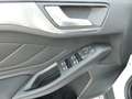 Ford Focus Traveller Titanium Autom. +AHK+Fahrass+Ergositze Blanc - thumbnail 22