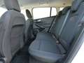 Ford Focus Traveller Titanium Autom. +AHK+Fahrass+Ergositze Blanc - thumbnail 17
