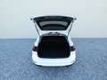 Ford Focus Traveller Titanium Autom. +AHK+Fahrass+Ergositze Blanc - thumbnail 10