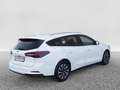 Ford Focus Traveller Titanium Autom. +AHK+Fahrass+Ergositze Blanc - thumbnail 6