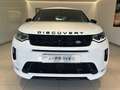 Land Rover Discovery Sport D200 R-Dynamic SE Winter Paket LED Alb - thumbnail 8