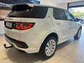 Land Rover Discovery Sport D200 R-Dynamic SE Winter Paket LED Alb - thumbnail 3