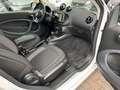 smart forTwo fortwo EQ 60kW*EXCL*PANO*NAVI*PTS*KAM*22kW bijela - thumbnail 5