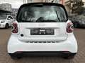 smart forTwo fortwo EQ 60kW*EXCL*PANO*NAVI*PTS*KAM*22kW Weiß - thumbnail 21