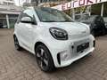 smart forTwo fortwo EQ 60kW*EXCL*PANO*NAVI*PTS*KAM*22kW Weiß - thumbnail 9