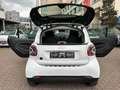 smart forTwo fortwo EQ 60kW*EXCL*PANO*NAVI*PTS*KAM*22kW Weiß - thumbnail 25