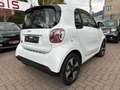smart forTwo fortwo EQ 60kW*EXCL*PANO*NAVI*PTS*KAM*22kW Weiß - thumbnail 15