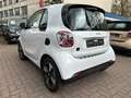 smart forTwo fortwo EQ 60kW*EXCL*PANO*NAVI*PTS*KAM*22kW Weiß - thumbnail 14