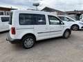 Volkswagen Caddy VW Caddy Trendline TDI 4MOTION Weiß - thumbnail 3