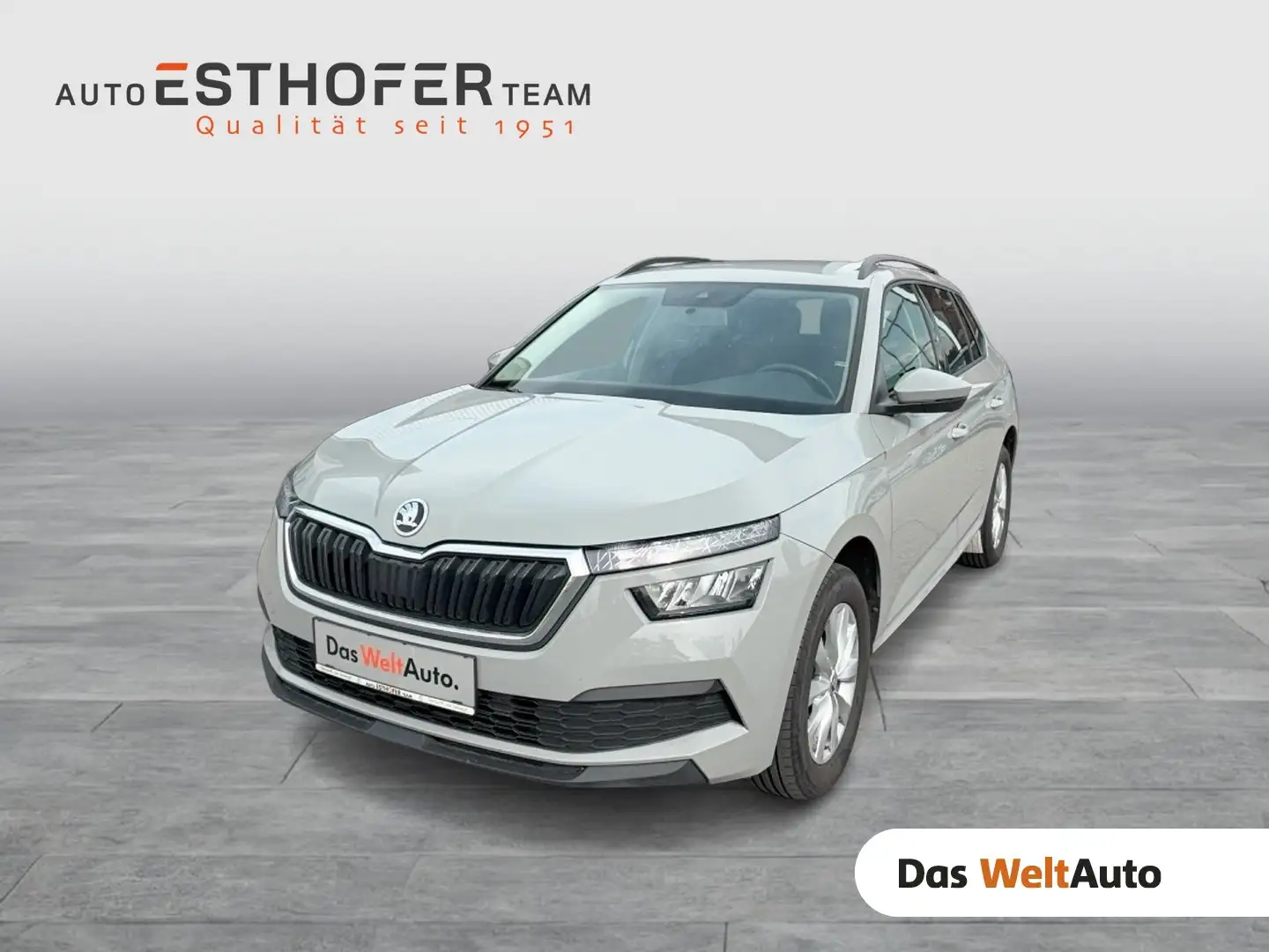 Skoda Kamiq SC TSI DSG Grau - 1