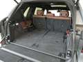 BMW X7 xDrive40d Grau - thumbnail 7