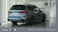 BMW X7 xDrive40d Grau - thumbnail 3