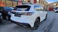 Volkswagen Tiguan 2.0 TDI SCR 4Motion R-Line DSG Weiß - thumbnail 7