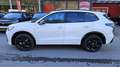 Volkswagen Tiguan 2.0 TDI SCR 4Motion R-Line DSG Weiß - thumbnail 10