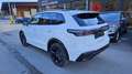 Volkswagen Tiguan 2.0 TDI SCR 4Motion R-Line DSG Weiß - thumbnail 9